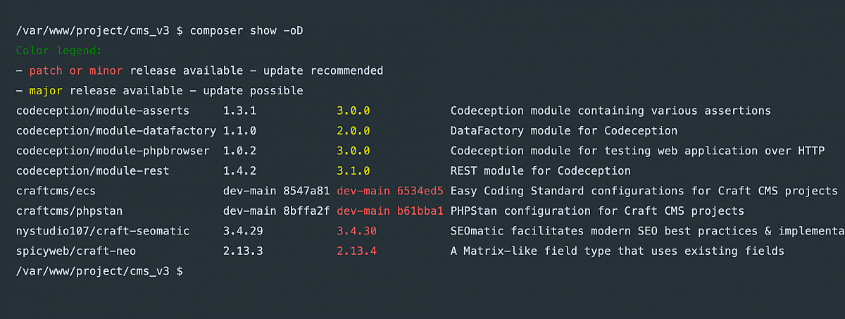 nystudio107 | Updating Craft CMS Without Headaches