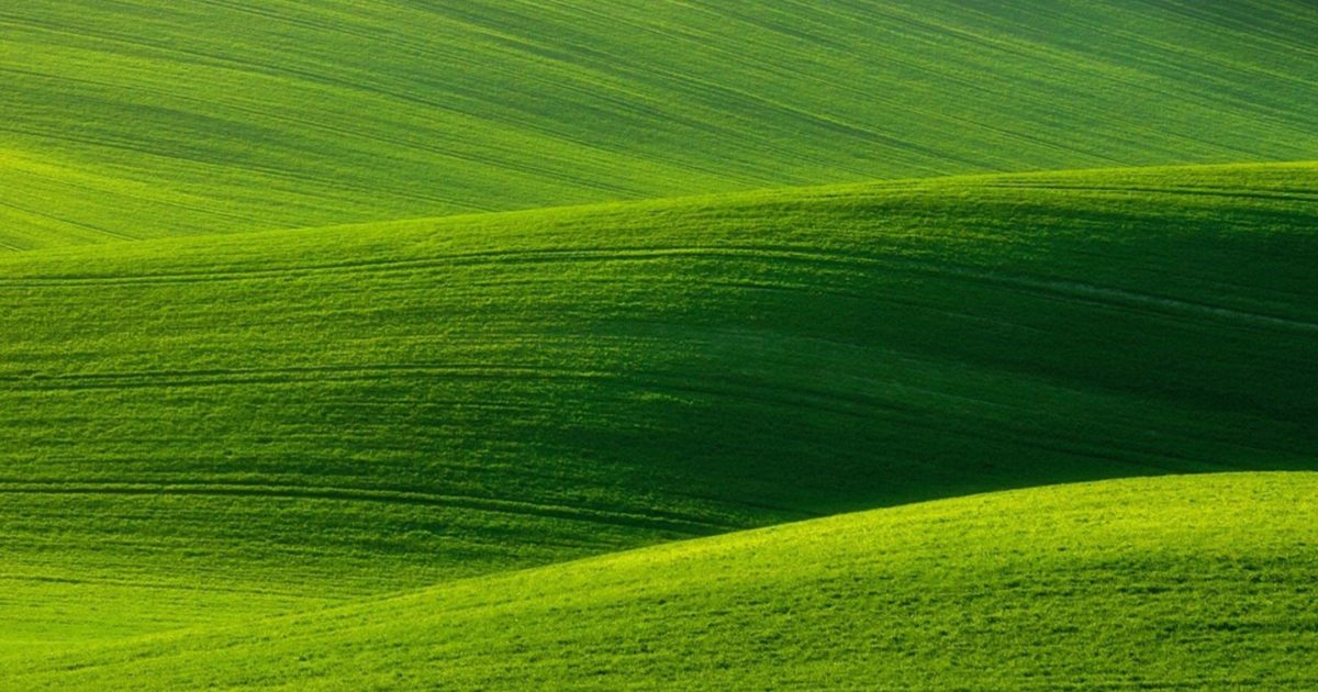 nystudio107 | Creating a custom field in Craft CMS