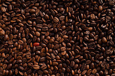 Coffee Beans Static Asset Versioning