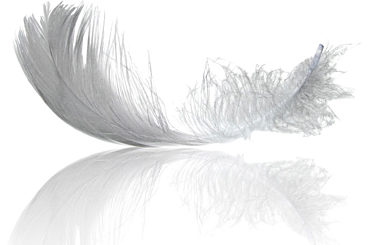Light Feather
