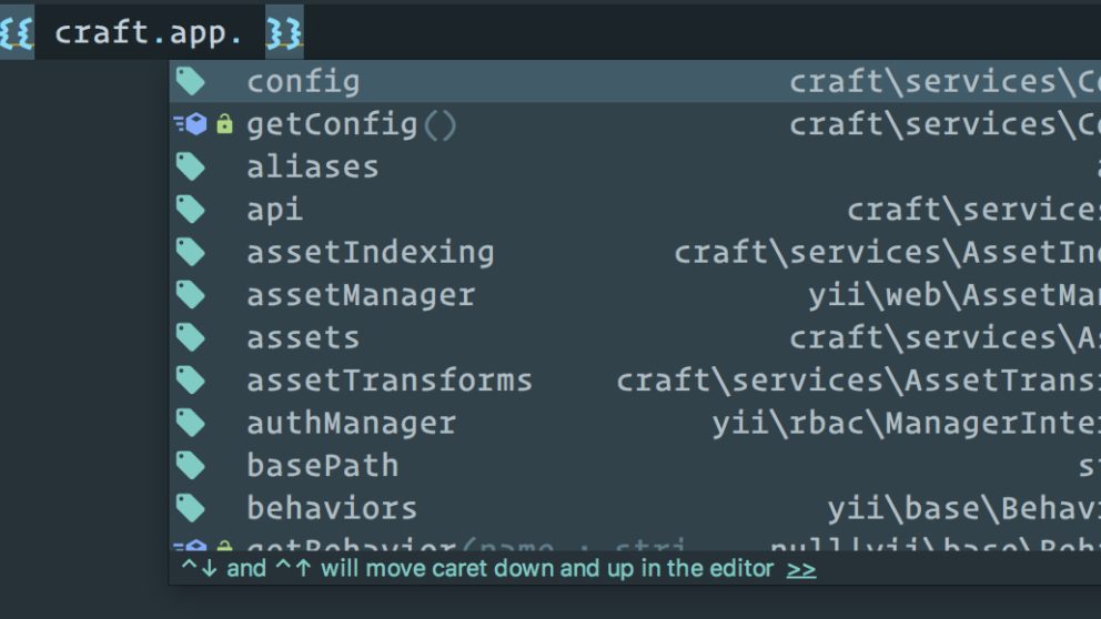 Druipend Rentmeester draad nystudio107 | Auto-Complete Craft CMS 3 APIs in Twig with PhpStorm